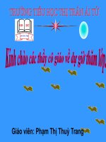 MẶT TRỜI XANH CỦA TÔI