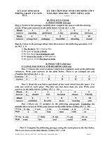 Đáp án đề thi HSG môn Tiếng Anh lớp 9 huyện Tây Sơn 2010-2011.