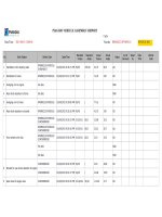 Mẫu báo cáo chính (ứng dụng autoprintreport)