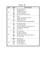 Giáo án lớp 5 tuần 30 năm 2010- 2011