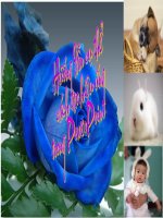 HƯỚNG DẪN TẠO HIỆU ỨNG TRONG GIÁO ÁN ĐIỆN TỬ