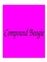 COMPOUND BOOGIE - COMPOUND NOUNS