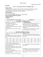 Giáo án tự chọn toán 7 HKII ( Hay)