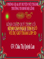 THUẦN PHỤC SƯ TỬ LỚP 5
