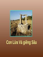 CON LỪA VÀ GIẾNG SÂU