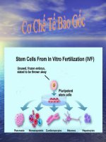 Chuyen De te bao goc