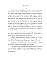 Một số giải pháp nhằm tăng cường công tác huy động vốn vốn tại Ngân Hàng Công Thương Bình Định