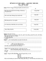 de khao sat hoc sinh gioi tieng viet