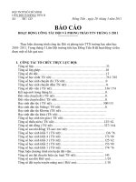 bao cao đội tháng 3/2011