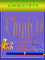 chinh ta-tuan 31-TA AO DAI VIET NAM