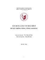 Xây dựng làng văn hóa mới ở huyện Thông Nông, tỉnh Cao Bằng