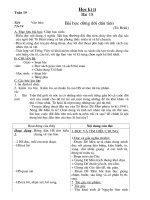 Ngữ văn 6 mới HKII