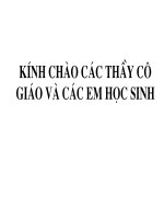 Sự phát quang- Lớp 12 Nâng cao