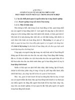 CHIẾN LƯỢC PHÁT TRIỂN NGUỒN NHÂN LỰC TRONG DOANH NGHIỆP