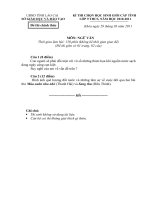 Đề-đáp án HSG lớp 9 năm 2010-2011