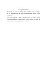 CORPORATE GOVERNANCE AND FINANCIAL PERFORMANCE - AN ANALYSIS OF COMPANIES LISTED IN VIET NAM’S STOCK EXCHANGE