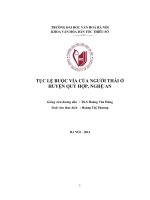 Tục lệ buộc vía của người Thái ở huyện Quỳ Hợp, Nghệ An