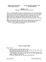 De+Da HSG Sử 9 huyện Tương Dương 2011