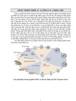 Bài giảng SINH HỌC PHÁT TRIỂN