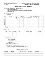 Mau bao cao thang cua to khoi