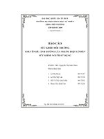 Chuyên đề Ảnh hưởng của thuốc diệt cỏ đến sức khỏe người sử dụng