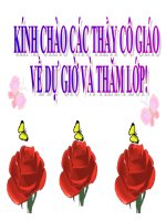 Mặt trời xanh của tôi.