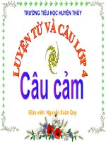 Luyện từ và câu: Câu cảm