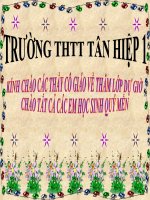 su sinh san va nuoi con cua chim-tuan 29