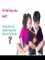 Tại sao tôm chín có màu hồng
