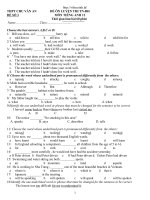 Tổng hợp các đề ôn thi tốt nghiệp Tiéng Anh 2011