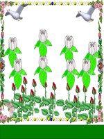 Dải đồng bằng duyên hải Miền Trung