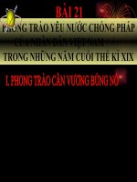 Bài 21: Phong trào chống Pháp...(CT Chuẩn)