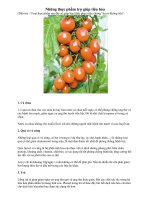 Những thực phẩm trợ giúp tiêu hóa