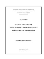 FACTORS AFFECTING THE FLUCTUATION OF LABOUR PRODUCTIVITY IN THE CONSTRUCTION PROJECTS