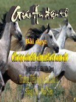 cấu tạo bài văn miêu tả con vật