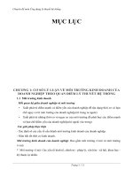 BÀI BÁO CÁO - CƠ SỞ LÝ LUẬN VỀ MÔI TRƯỜNG KINH DOANH CỦA DOANH NGHIỆP THEO QUAN ĐIỂM LÝ THUYẾT HỆ THỐNG