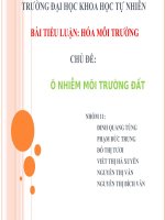 BÁO CÁO THỰC TẬP-BÀI TIỂU LUẬN HÓA MÔI TRƯỜNG-CHỦ ĐỀ Ô NHIỄM MÔI TRƯỜNG ĐẤT