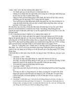 BÀI BÁO CÁO THỰC TẬP-CÁC GIAI ĐOẠN PHÁT TRIỂN CỦA CHÍNH PHỦ ĐIỆN TỬ