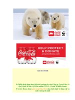BÁO CÁO THỰC TẬP-Chiến dịch được thực hiện bởi sự hợp tác của Công ty Coca-Cola  và Quỹ Quốc tế Bảo vệ Thiên nhiên (WWF - World Wildlife Fund)