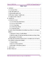 BÀI BÁO CÁO THỰC TẬP- PHÂN TÍCH TÌNH HÌNH TÀI CHÍNH TẠI CÔNG TY CỔ PHẦN BIBICA- GIẢI PHÁP