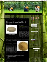 Báo cáo Nghiên cứu sử dụng cám gạo hiệu quả làm thức ăn chăn nuôi thức ăn thủy sản