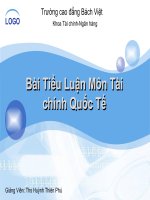 BÁO CÁO THỰC TẬP-Bài Tiểu Luận Môn Tài chính Quốc Tế