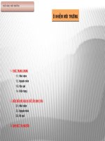 BÀI BÁO CÁO -THẦN HỌC MÔI TRƯỜNG- Ô NHIỄM MÔI TRƯỜNG