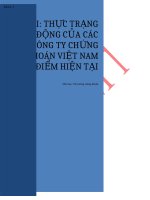 BÀI BÁO CÁO THỰC TẬP- THựC TRạNG HOạT ĐộNG CủA CÁC CÔNG TY CHứNG KHOÁN VIệT NAM THờI ĐIểM HIệN TạI