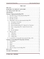 BÁO CÁO THỰC TẬP-mạng quang thụ động PON