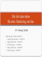 BÁO CÁO Bài tiểu luận nhóm Bộ môn Marketing căn bản