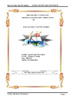 BÀI BÁO CÁO THỰC TẬP-HẦM ĐƯỜNG BỘ HẢI VÂN