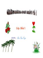 LỚP 4 ĐL BÀI : TP HỒ CHÍ MINH