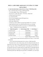 PHÂN TÍCH TÌNH HÌNH HOẠT ĐỘNG của CÔNG TY TNHH HƯNG PHÁT
