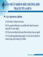 BÀI BÁO CÁO THỰC TẬP- SINH THÁI  MÔI TRƯỜNG ỨNG DỤNG VẤN ĐỀ Ô NHIỄM MÔI TRƯỜNG BỞI THẠCH TÍN